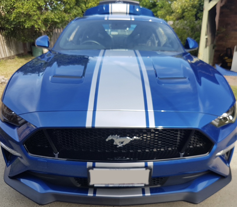 scotchlinegraphicfx mustangblue 004